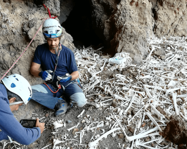 Es un cementerio con una de las mayores concentraciones de cadáveres y con la particularidad de albergar jóvenes y recién nacidos (Foto TA)